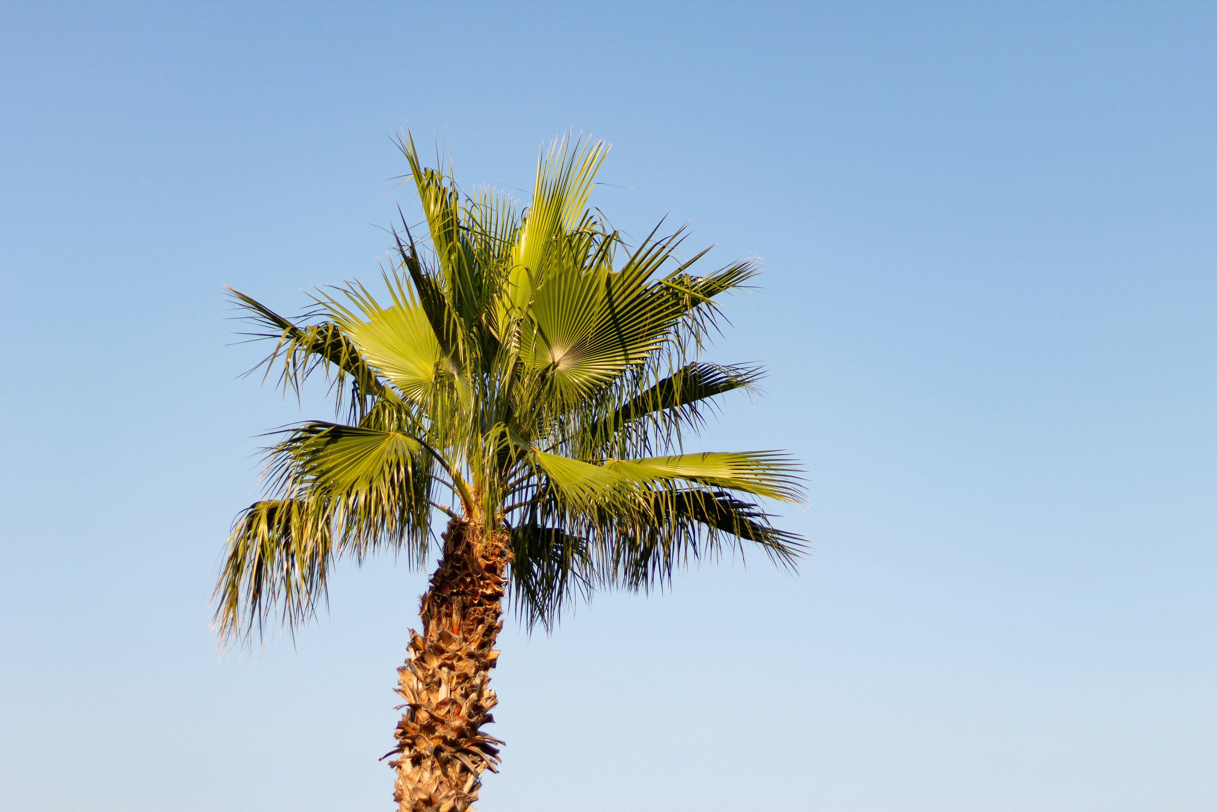 Photo by salamonbogi