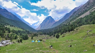 Tourists exploring a lush green valley with mountains in the background.