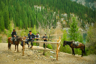 A group session under a big oak tree, participants reflecting quietly with horses nearby.