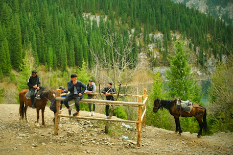 A group session under a big oak tree, participants reflecting quietly with horses nearby.