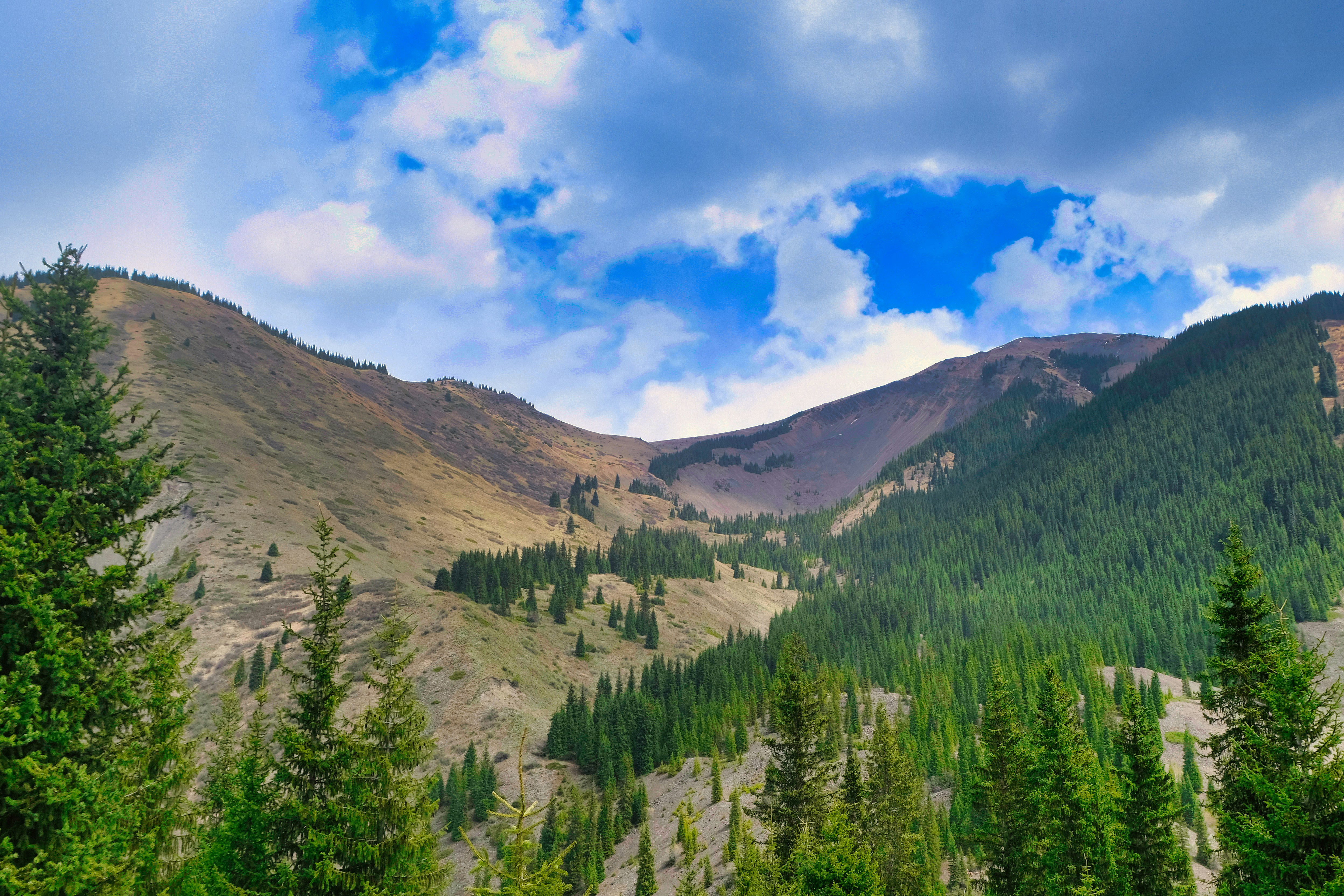 Photo by etienneflorent