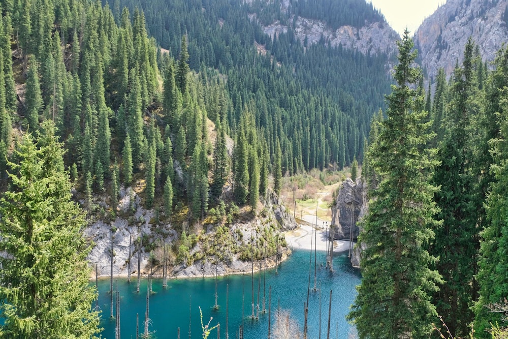 a blue lake surrounded by trees in the mountains