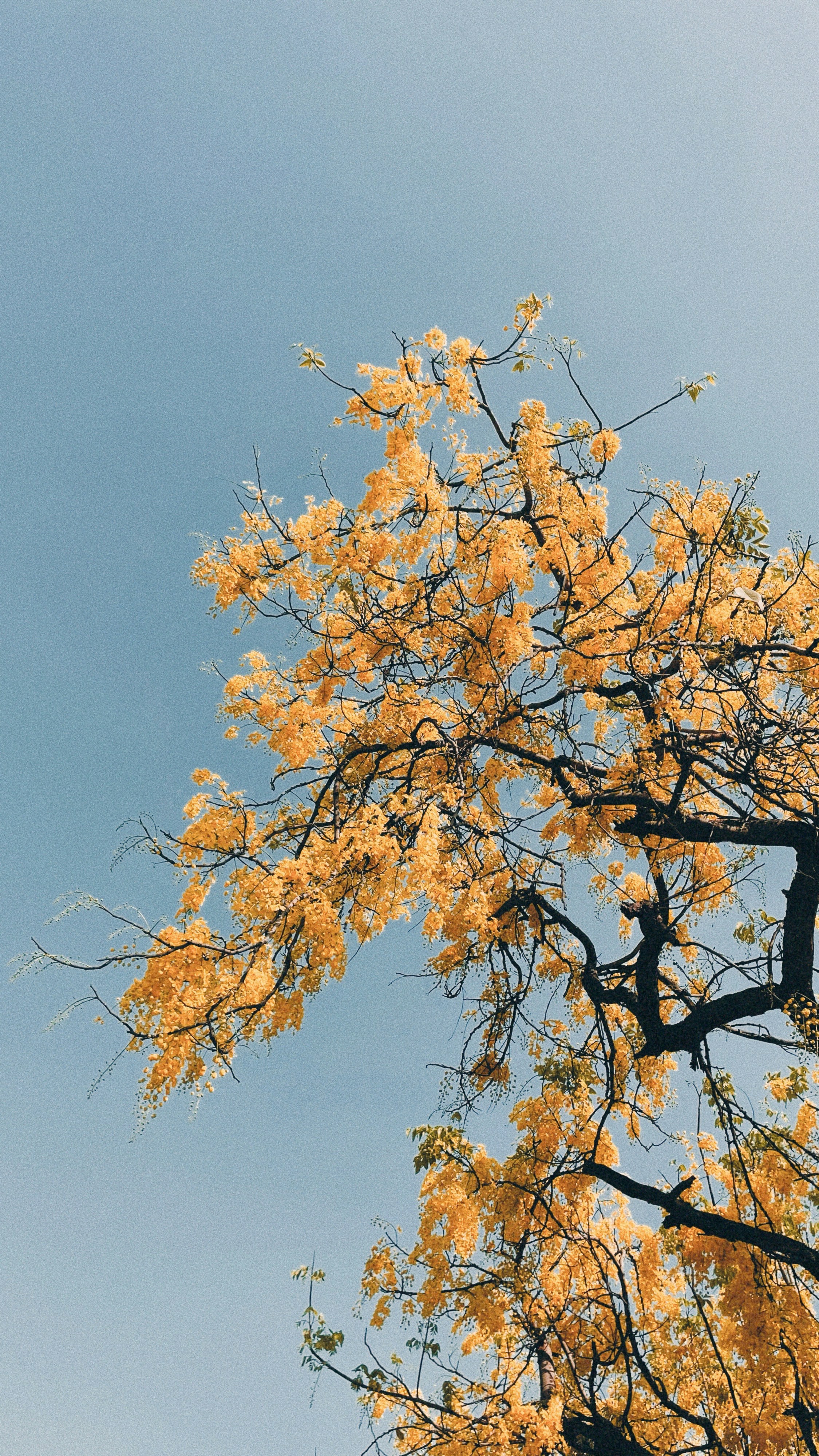 Photo by prashantbrahmbhatt