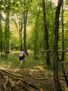 a person walking through a forest with lots of trees