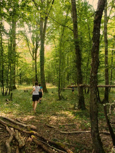 a person walking through a forest with lots of trees