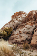 a rock formation with a bush growing out of it