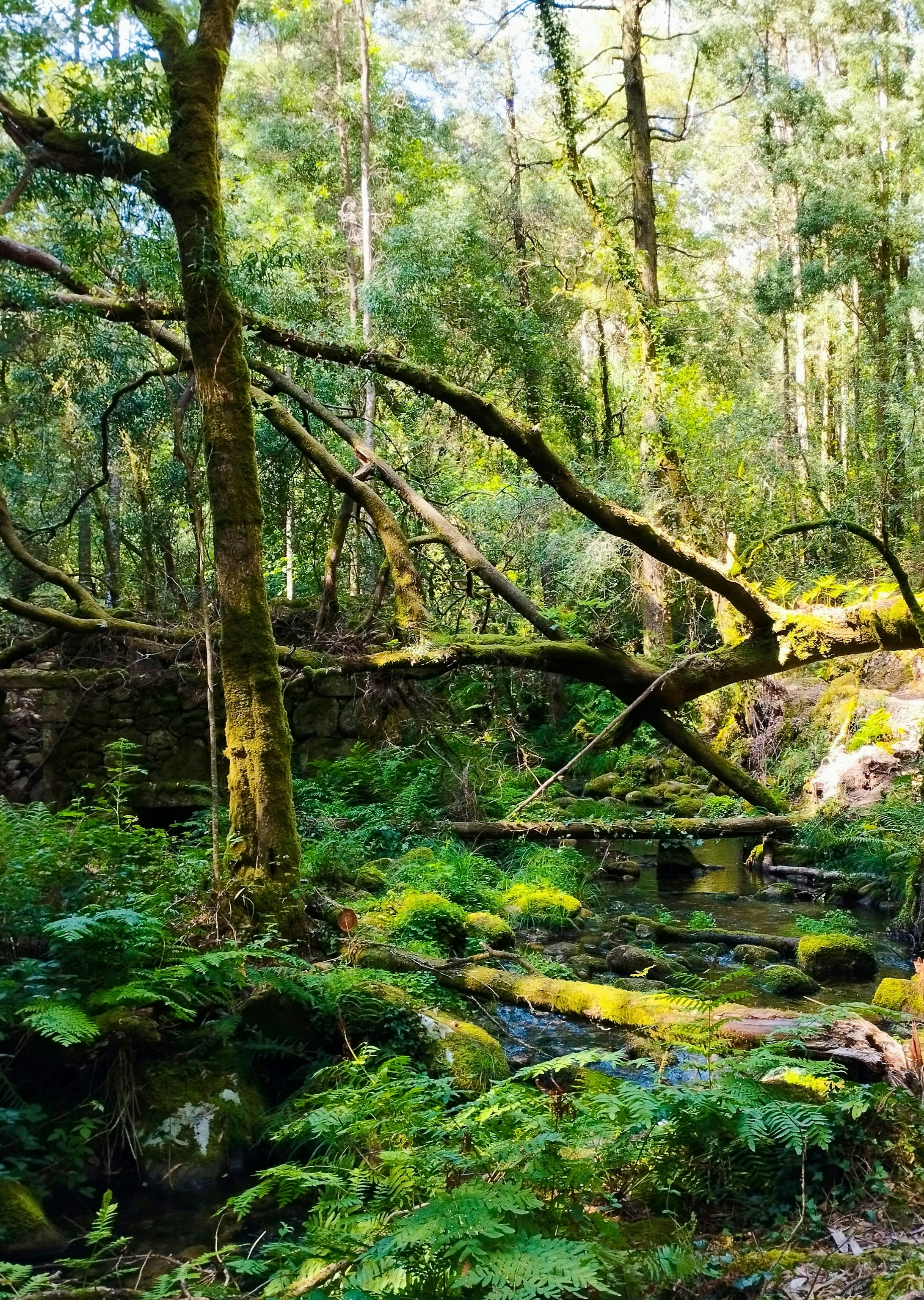 Photo by franciscocastro