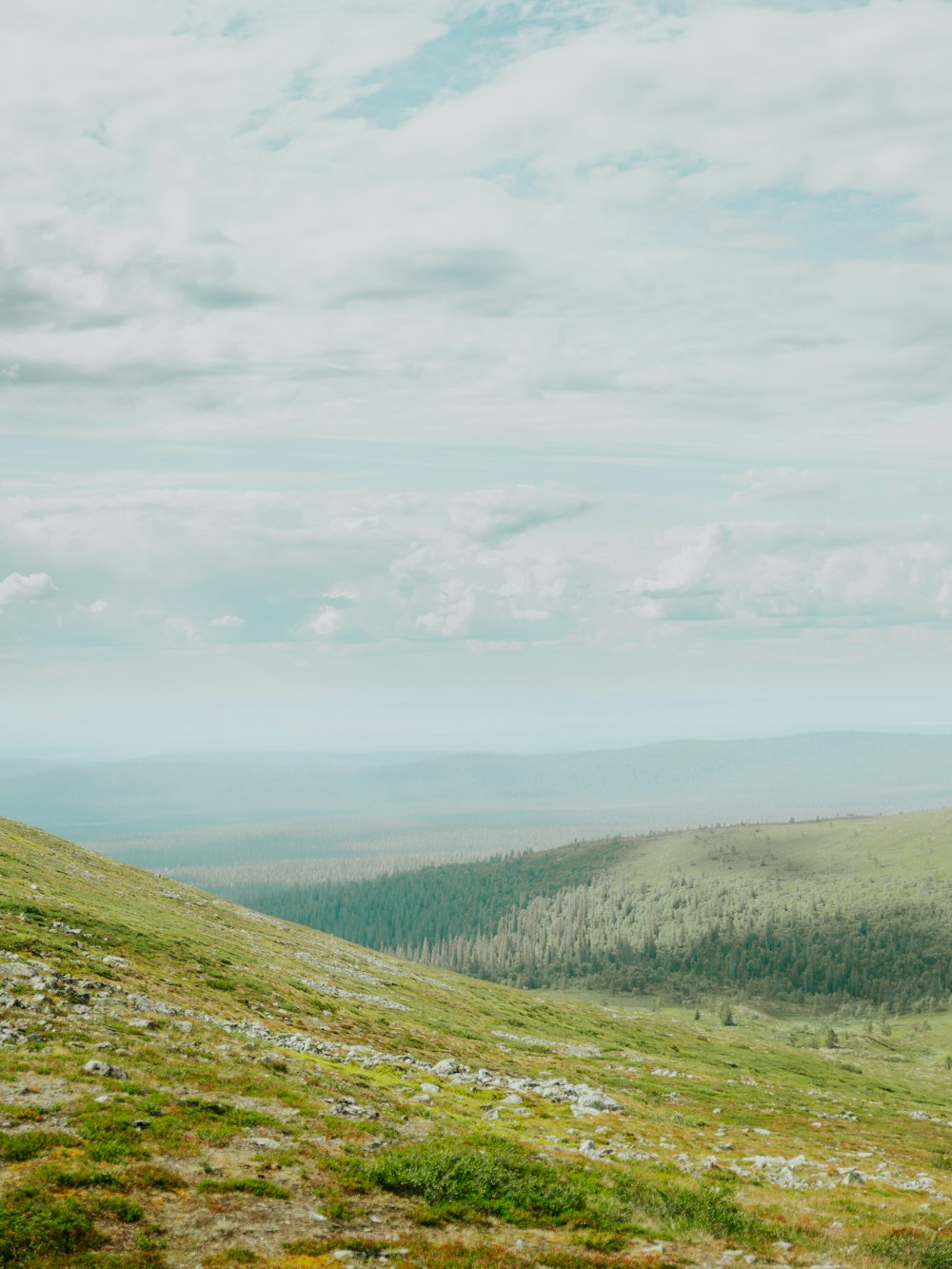 a man standing on top of a lush green hillside