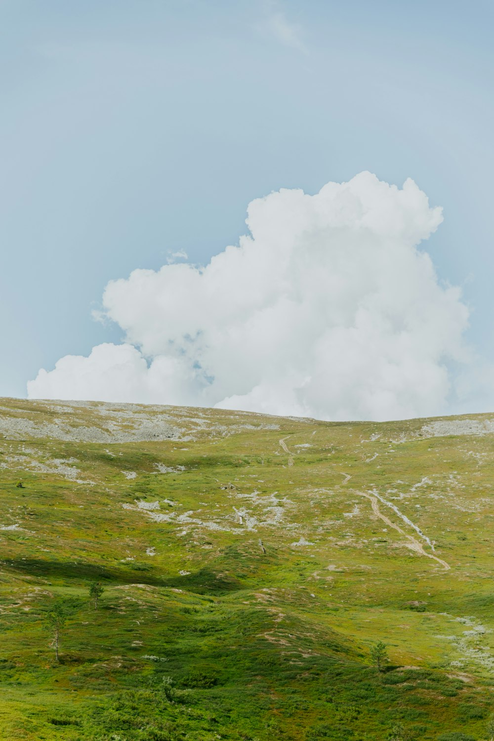 a grassy hill with a cloud in the sky