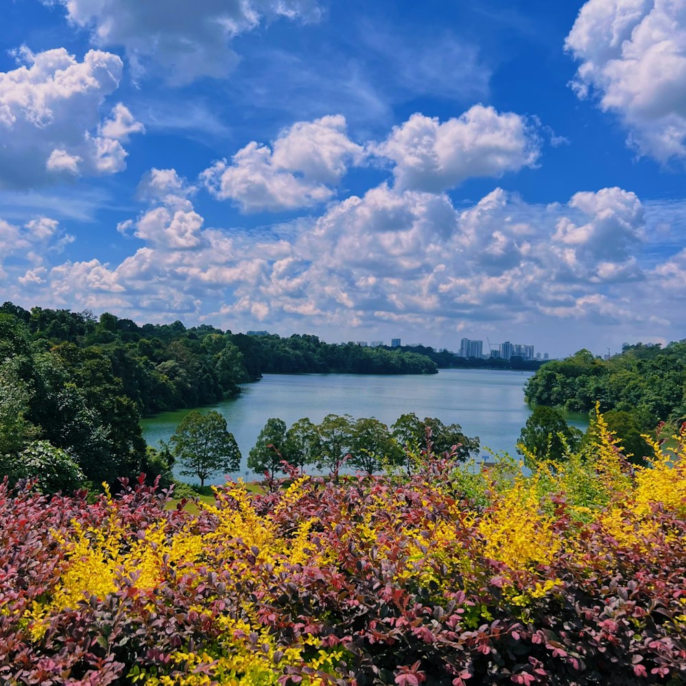 a lake surrounded by trees and bushes under a cloudy blue sky