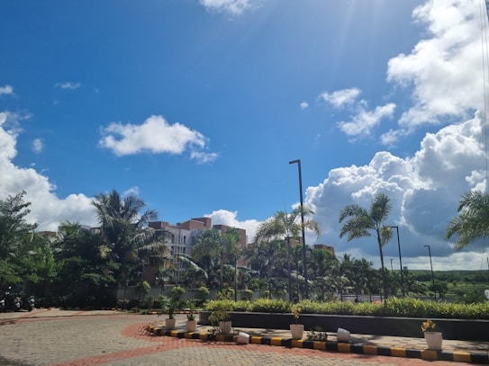 A vibrant landscape with a bright blue sky filled with fluffy white clouds. There are several tall palm trees and a row of potted plants lining a pathway made of cobblestones. In the background, there are modern buildings partially obscured by lush greenery. The sun casts a gentle light, creating a warm and inviting atmosphere.
