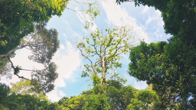 Pulau Ubin 5-Day Budget Itinerary: The Ultimate Backpacking Guide