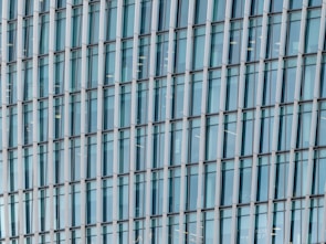 Wide shot of a commercial building facade featuring custom aluminum frames.