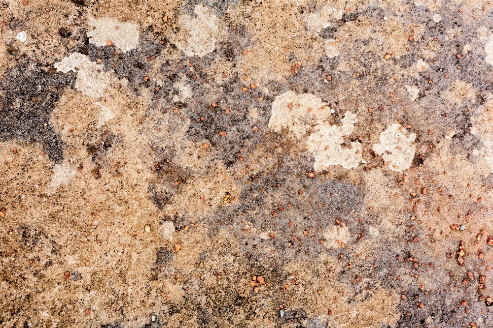 a close up of a stone surface with dirt and rocks