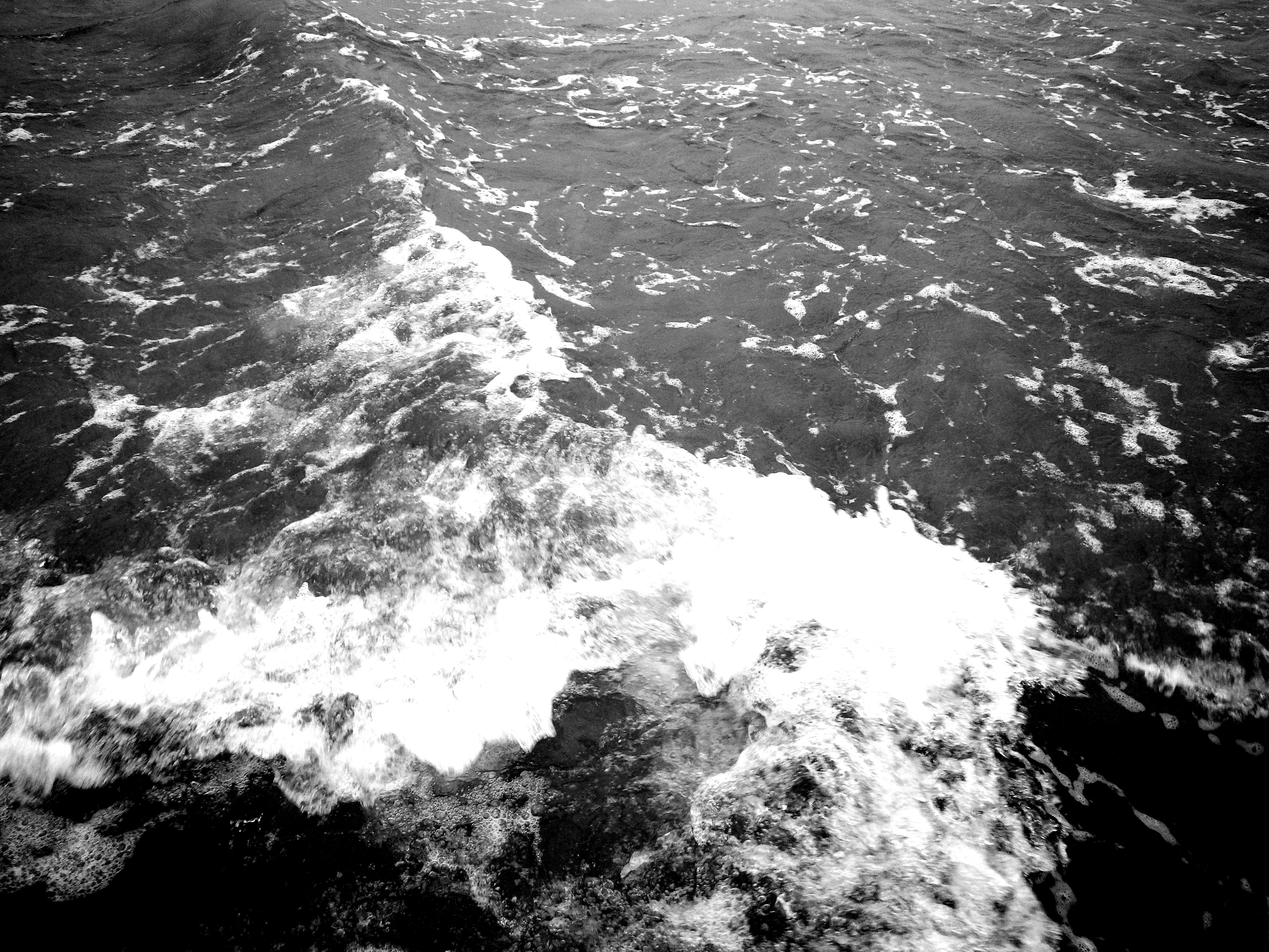 Photo by dominapetric