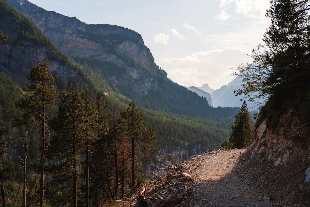 a dirt road surrounded by trees and mountains