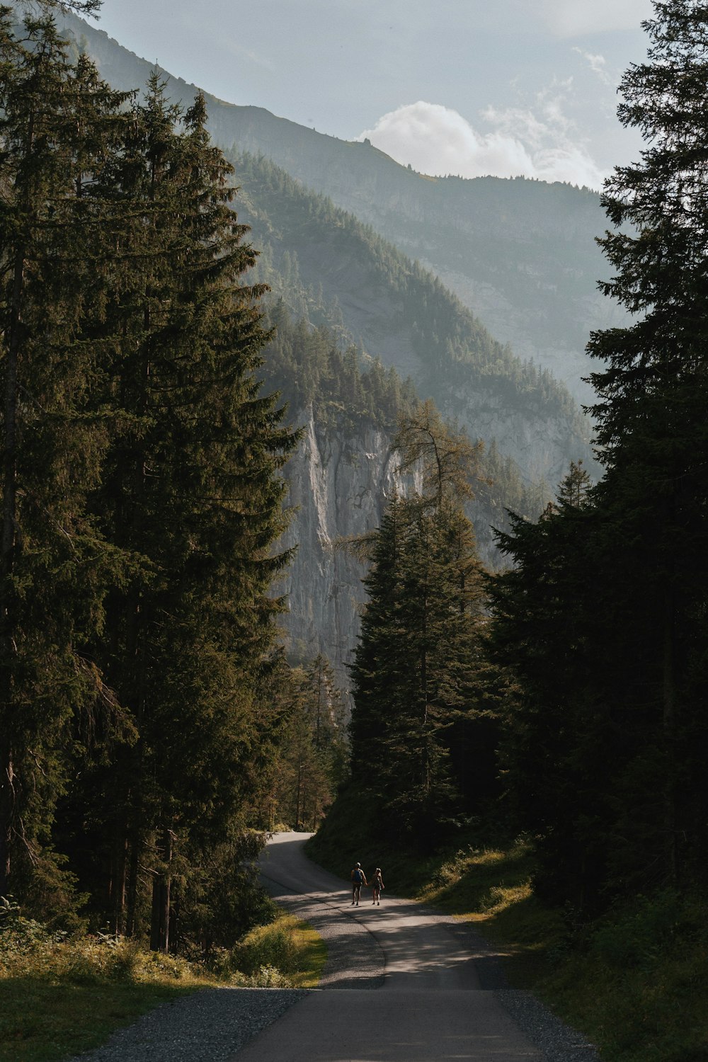 a man riding a horse down a dirt road