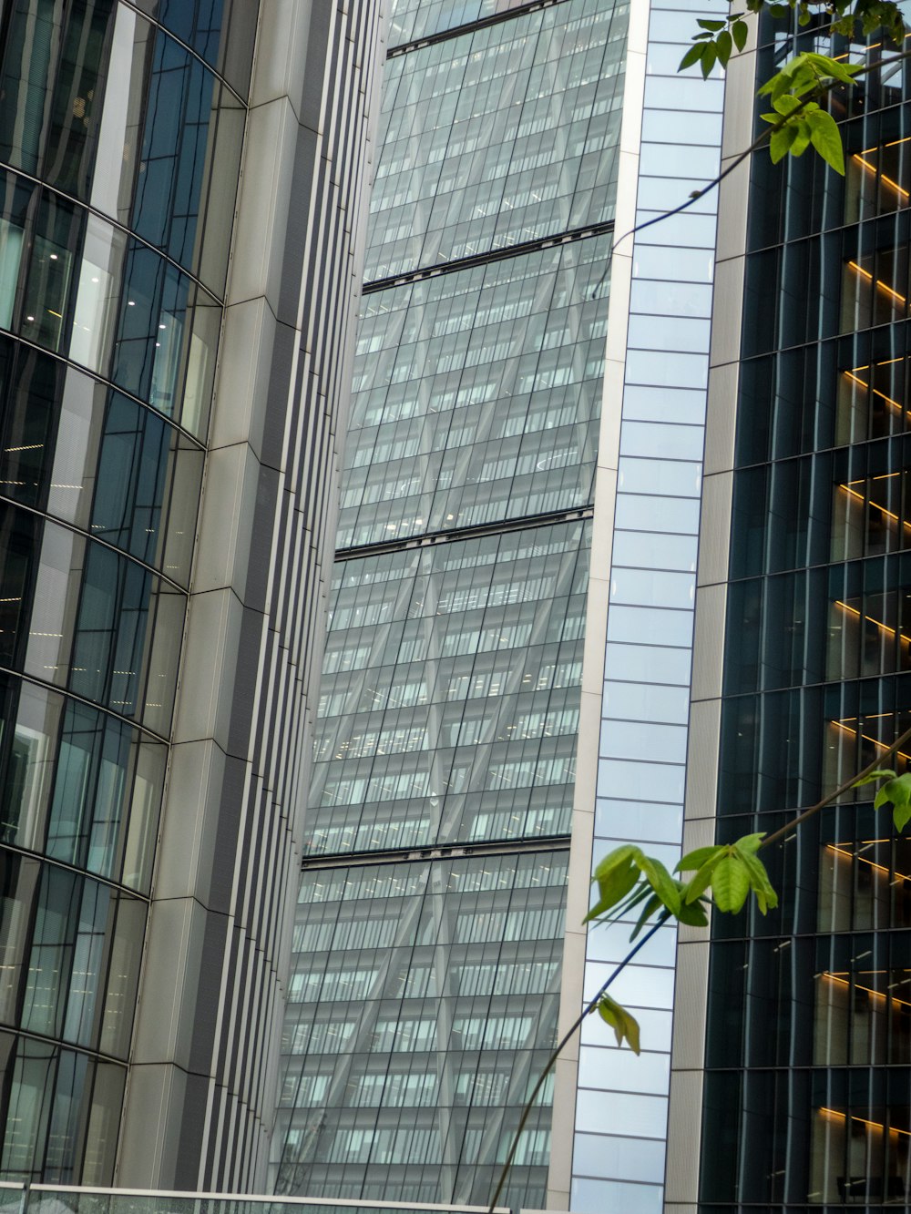 Un edificio alto con muchas ventanas al lado