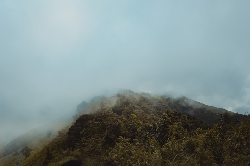 a mountain covered in mist and trees on a cloudy day