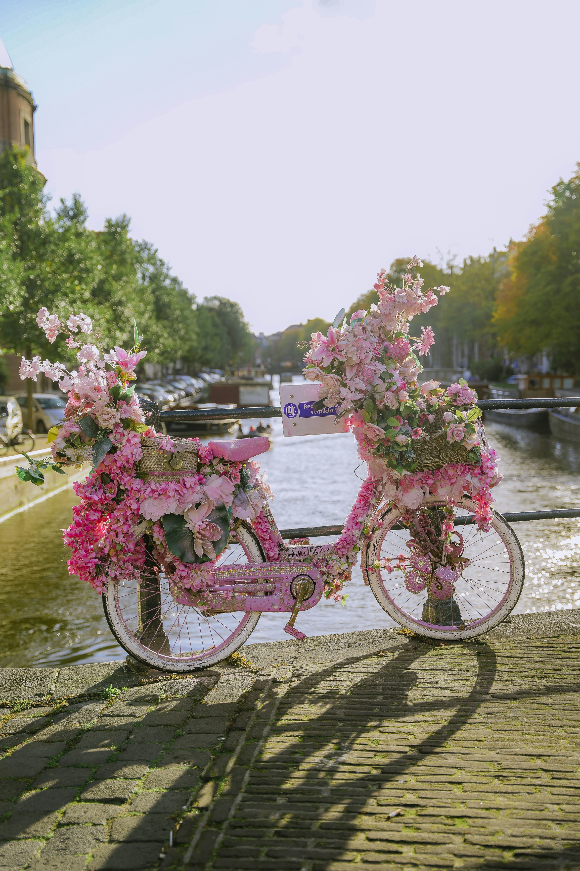 ein rosafarbenes Fahrrad mit Blumen auf der Vorderseite