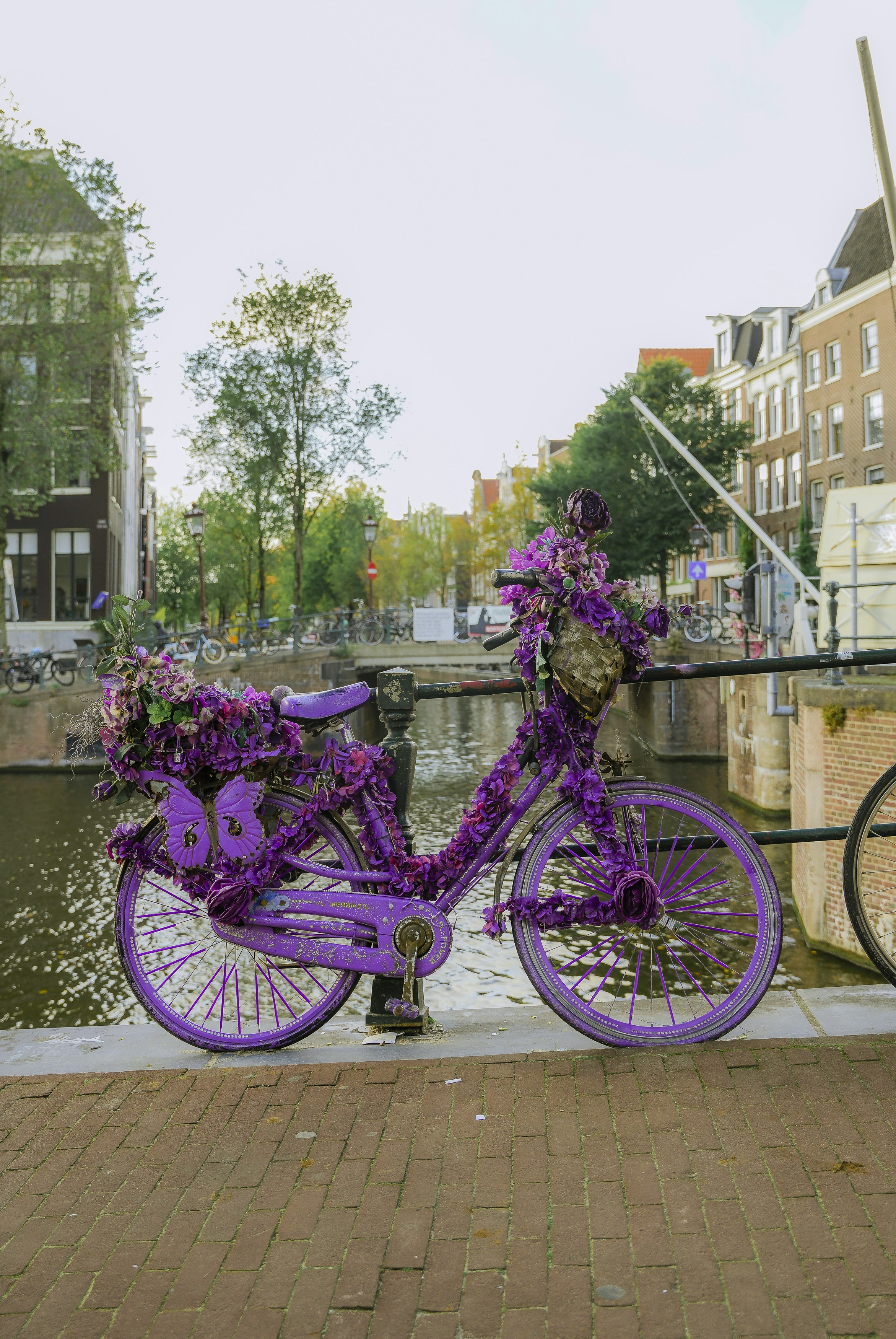 Ein lila Fahrrad mit lila Blumen auf der Vorderseite