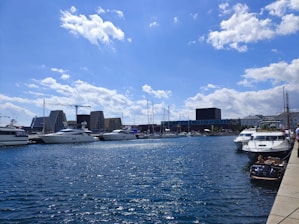 A panoramic view of Monaco's harbor filled with luxury yachts under a clear blue sky.