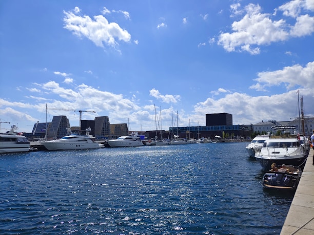 A panoramic view of Monaco's harbor filled with luxury yachts under a clear blue sky.