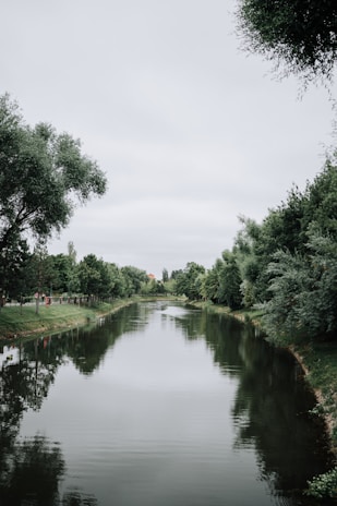 A calm river flowing gently through a green landscape at sunrise.