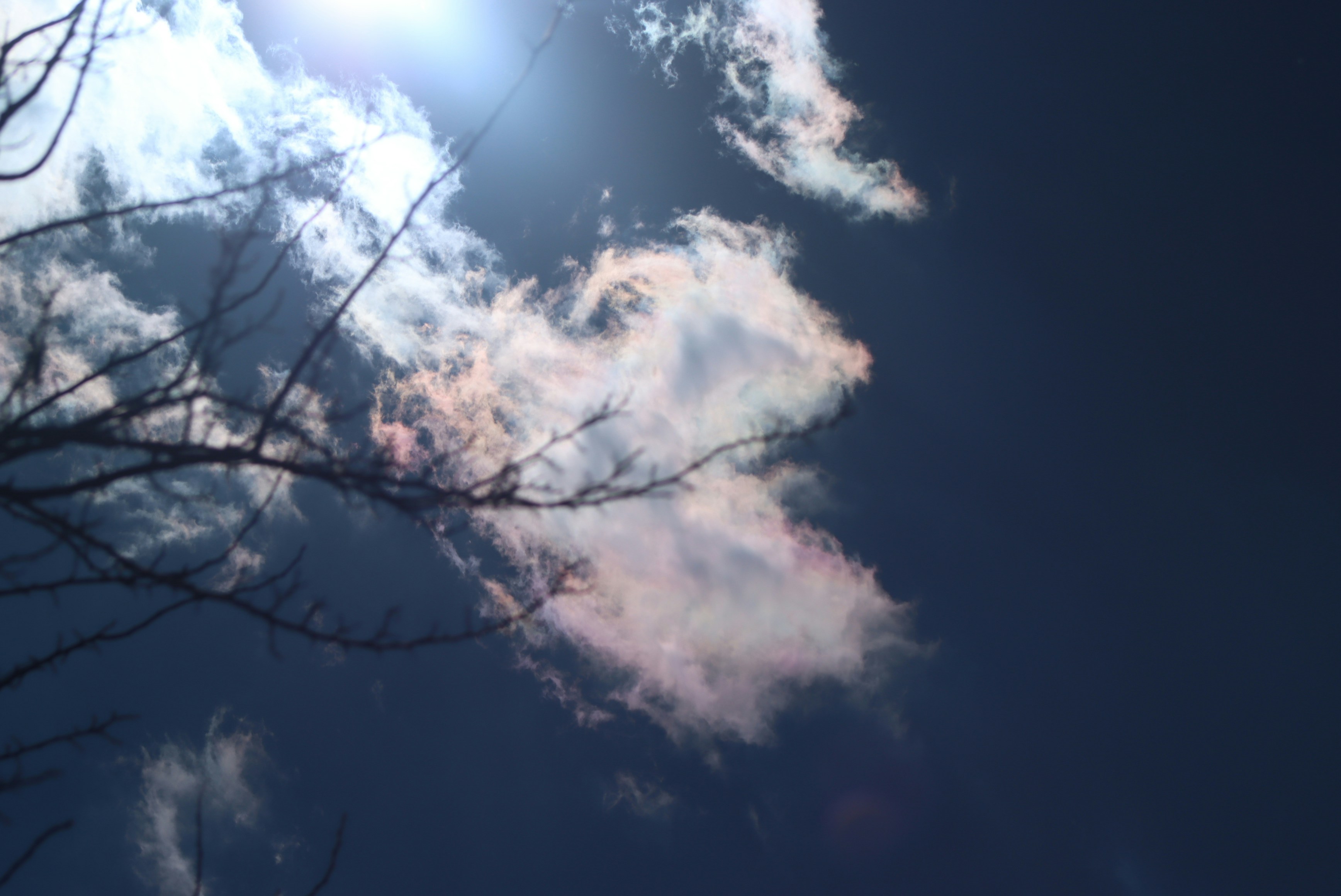 Photo by sararostenne