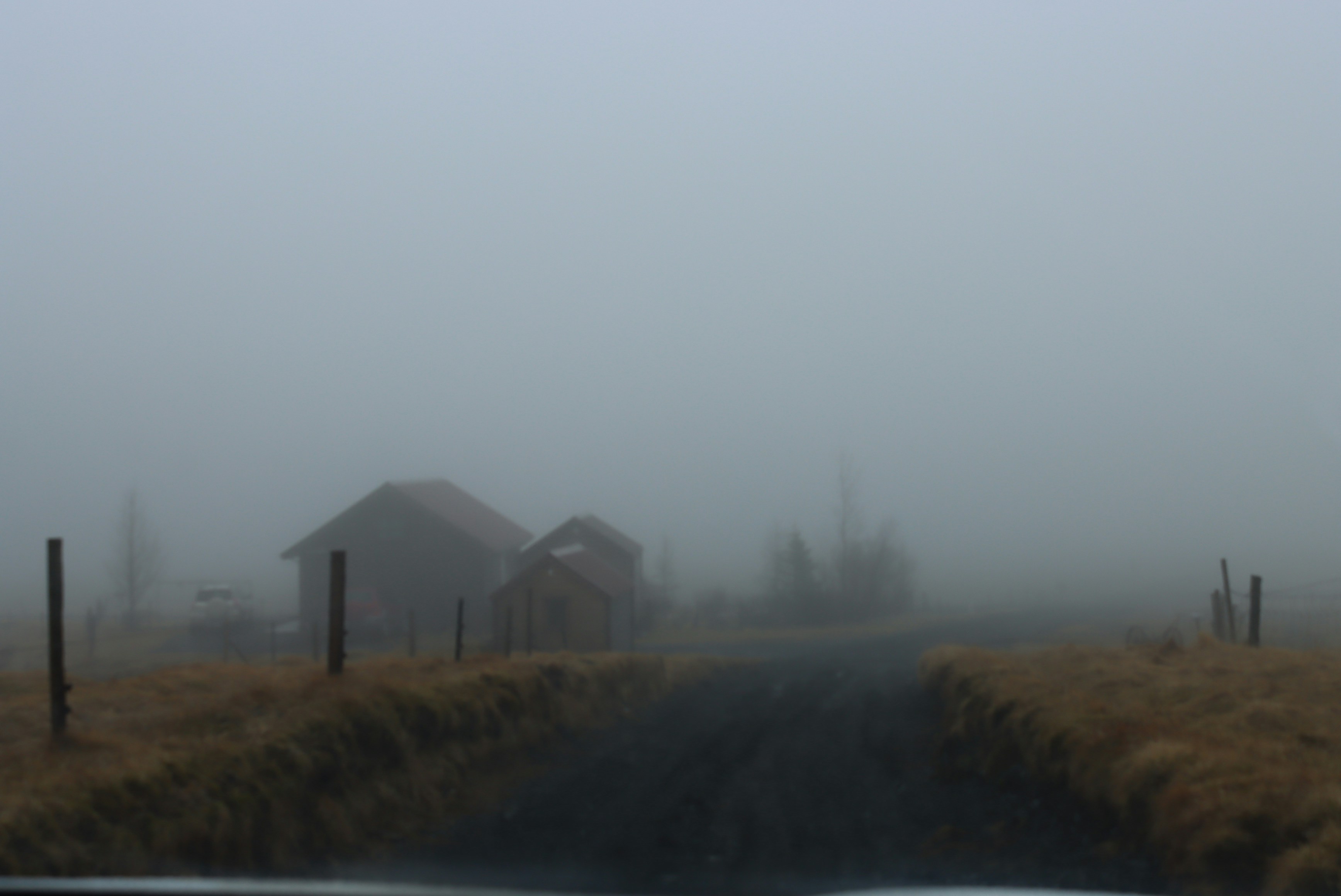 Photo by sararostenne