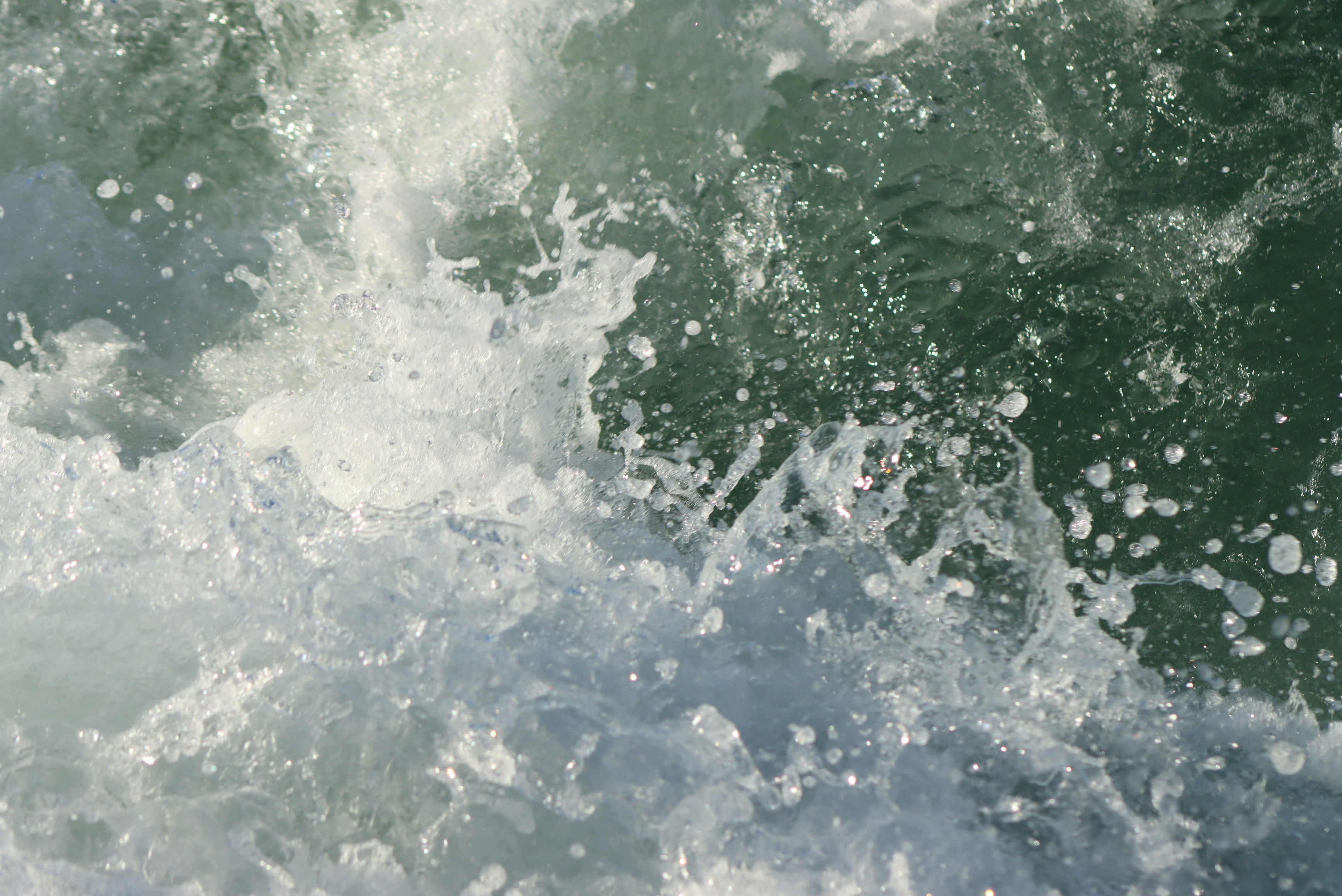 Photo by sararostenne