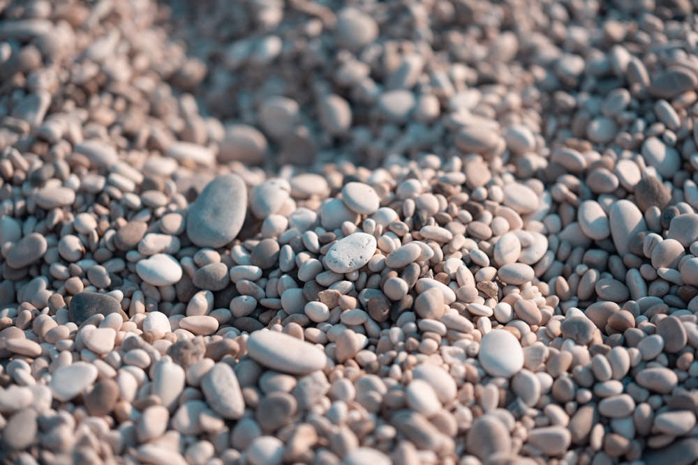 a bunch of rocks that are on the ground