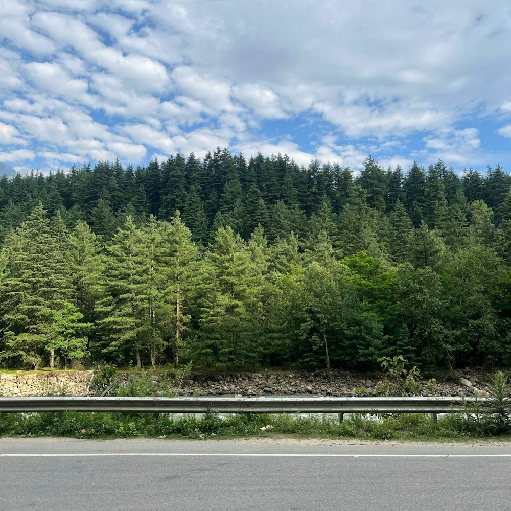 a car driving down a road next to a forest