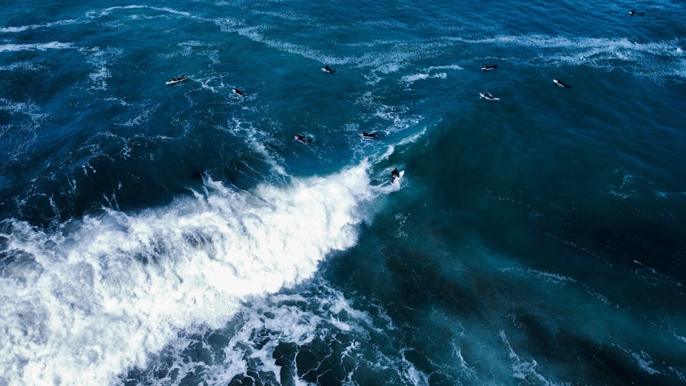Un gruppo di persone che cavalcano tavole da surf in cima a un'onda