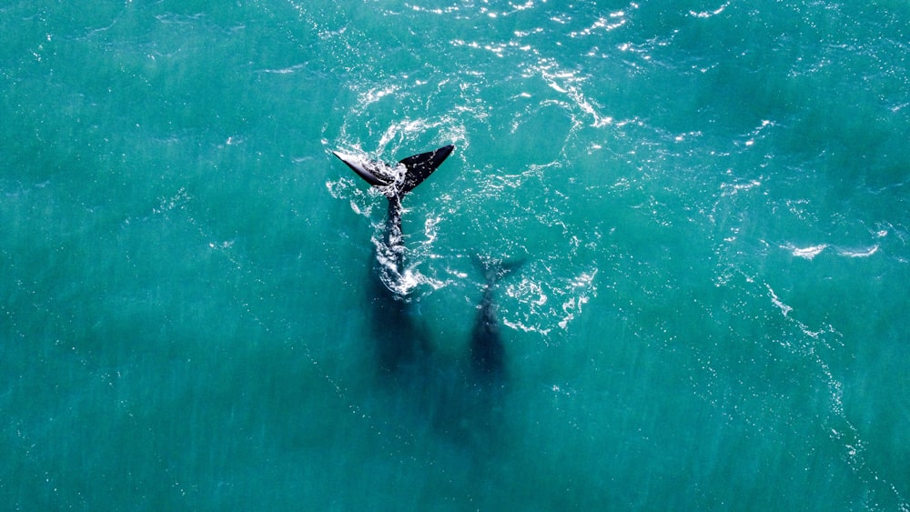 a couple of people riding on top of a surfboard in the ocean