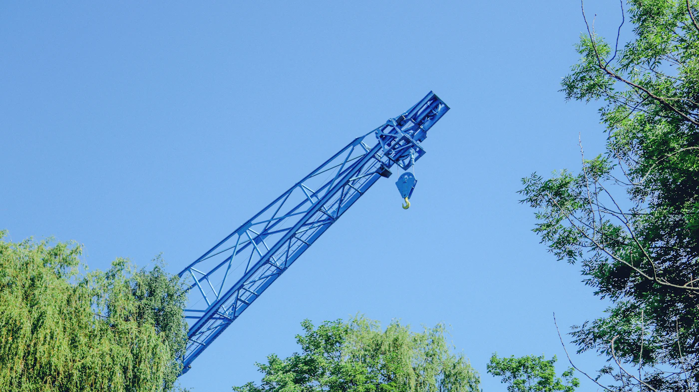 Tree removal