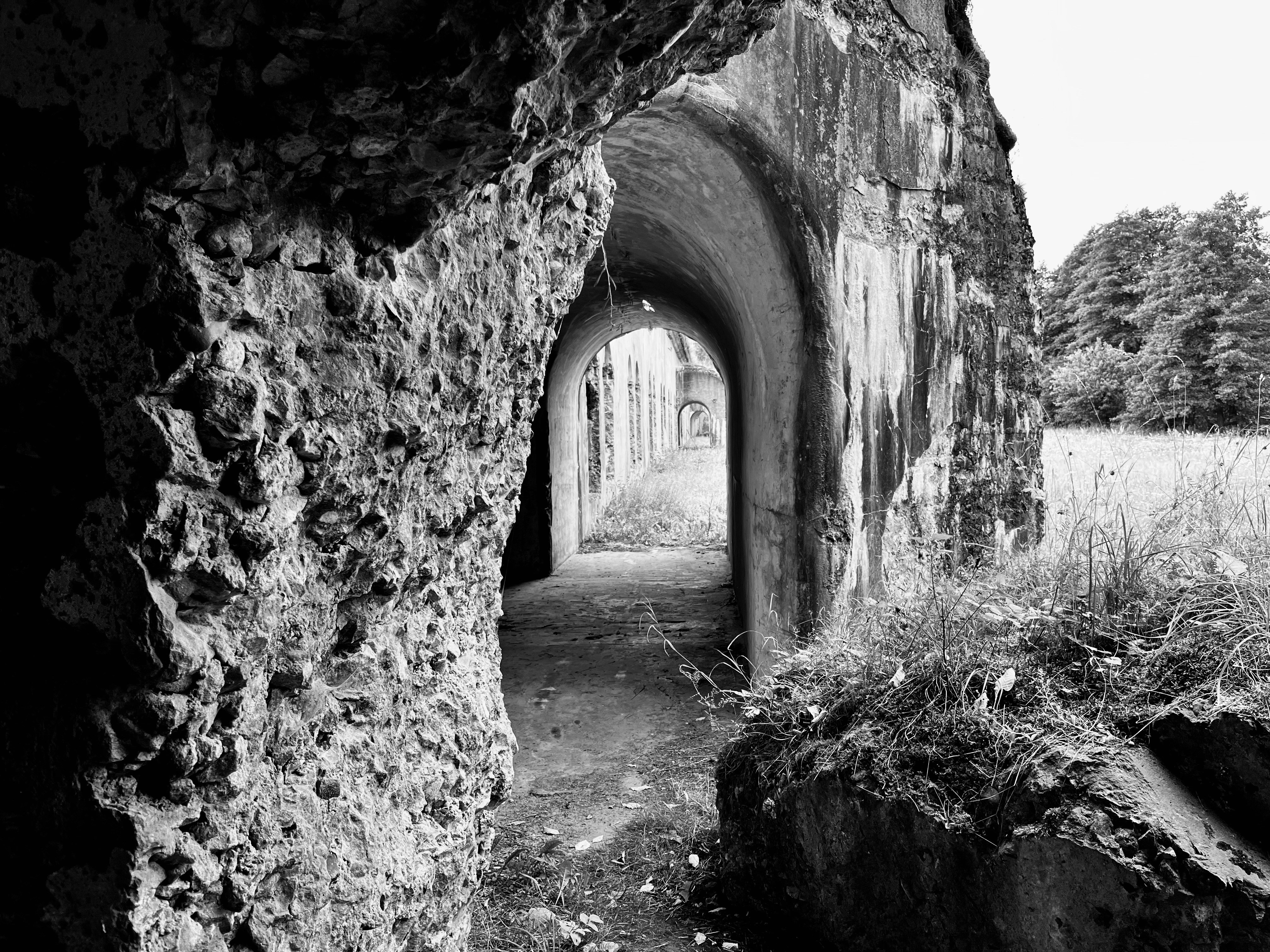 Photo by bartoszczyk