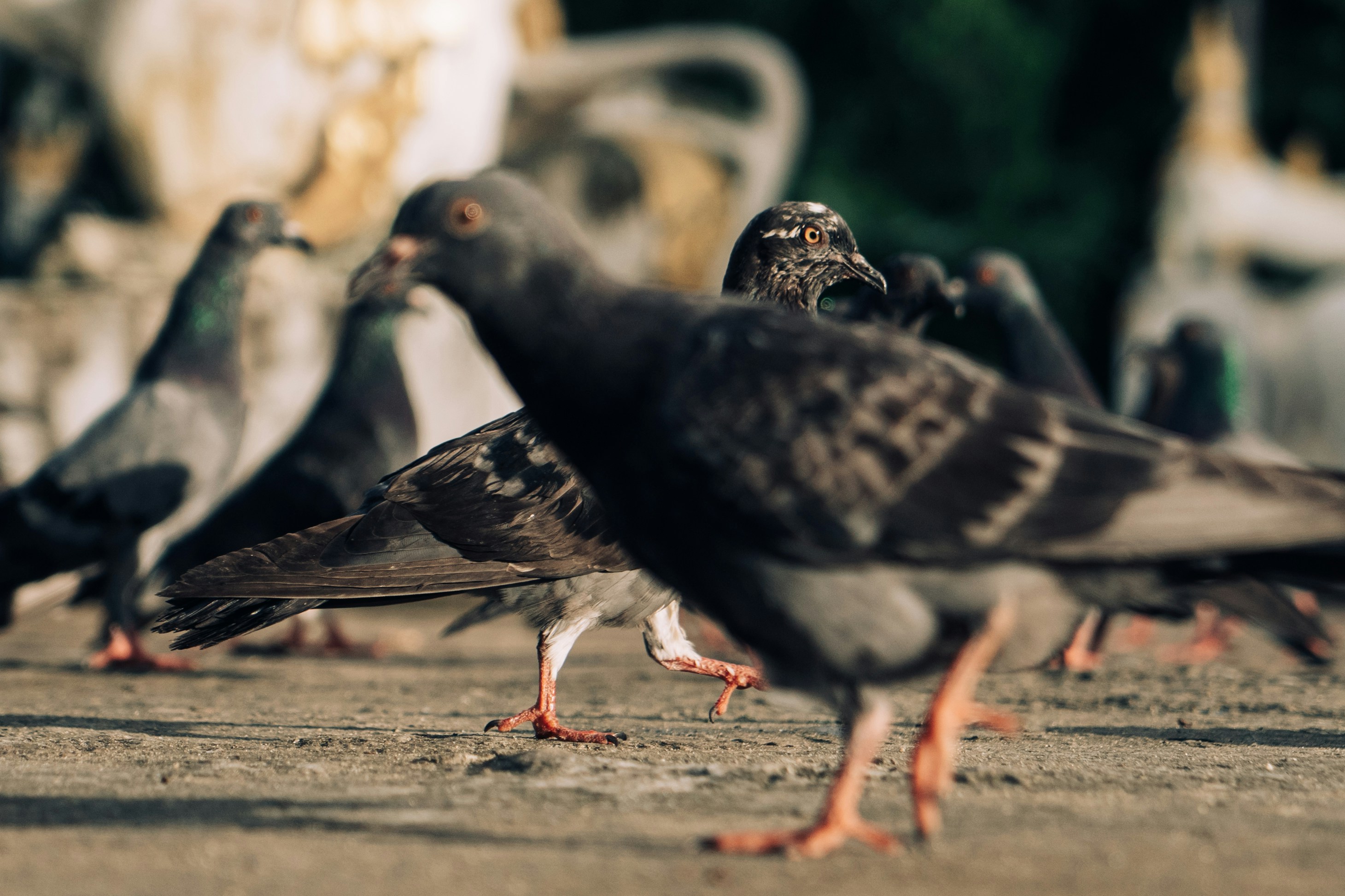 Photo by apertureblade