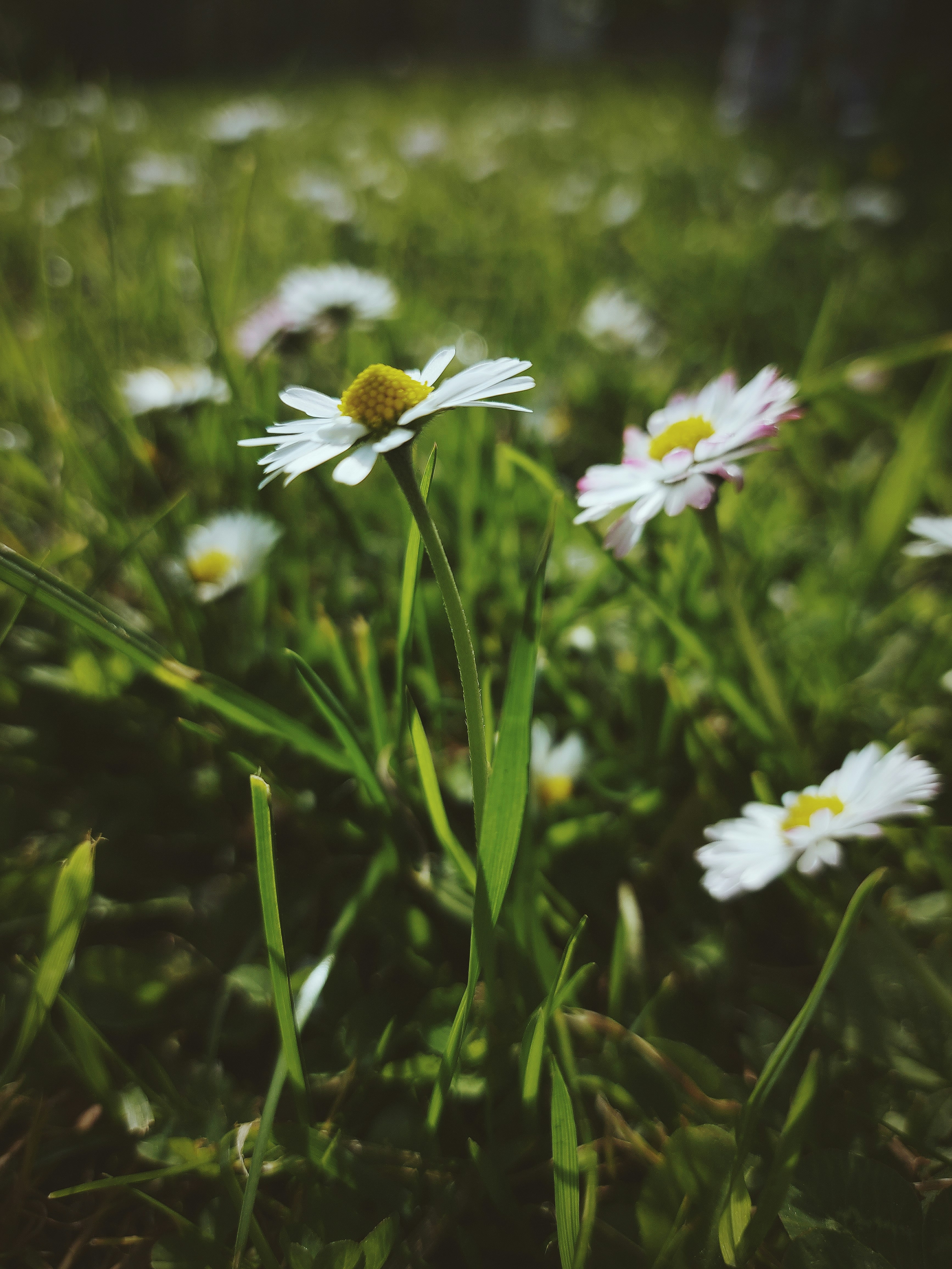 Photo by marta_mars