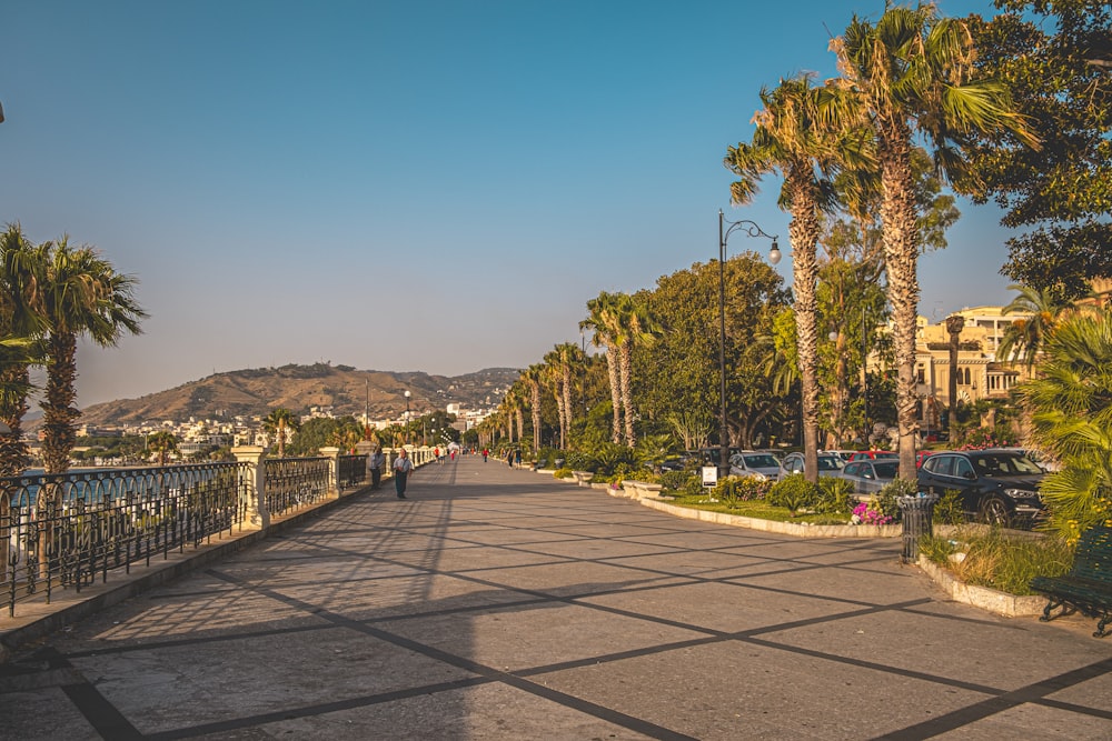 a street with palm trees and a fence