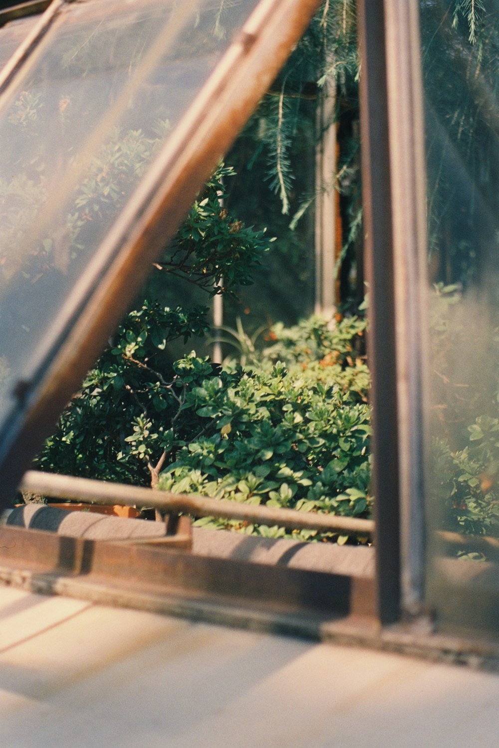 a view of a green house through a window