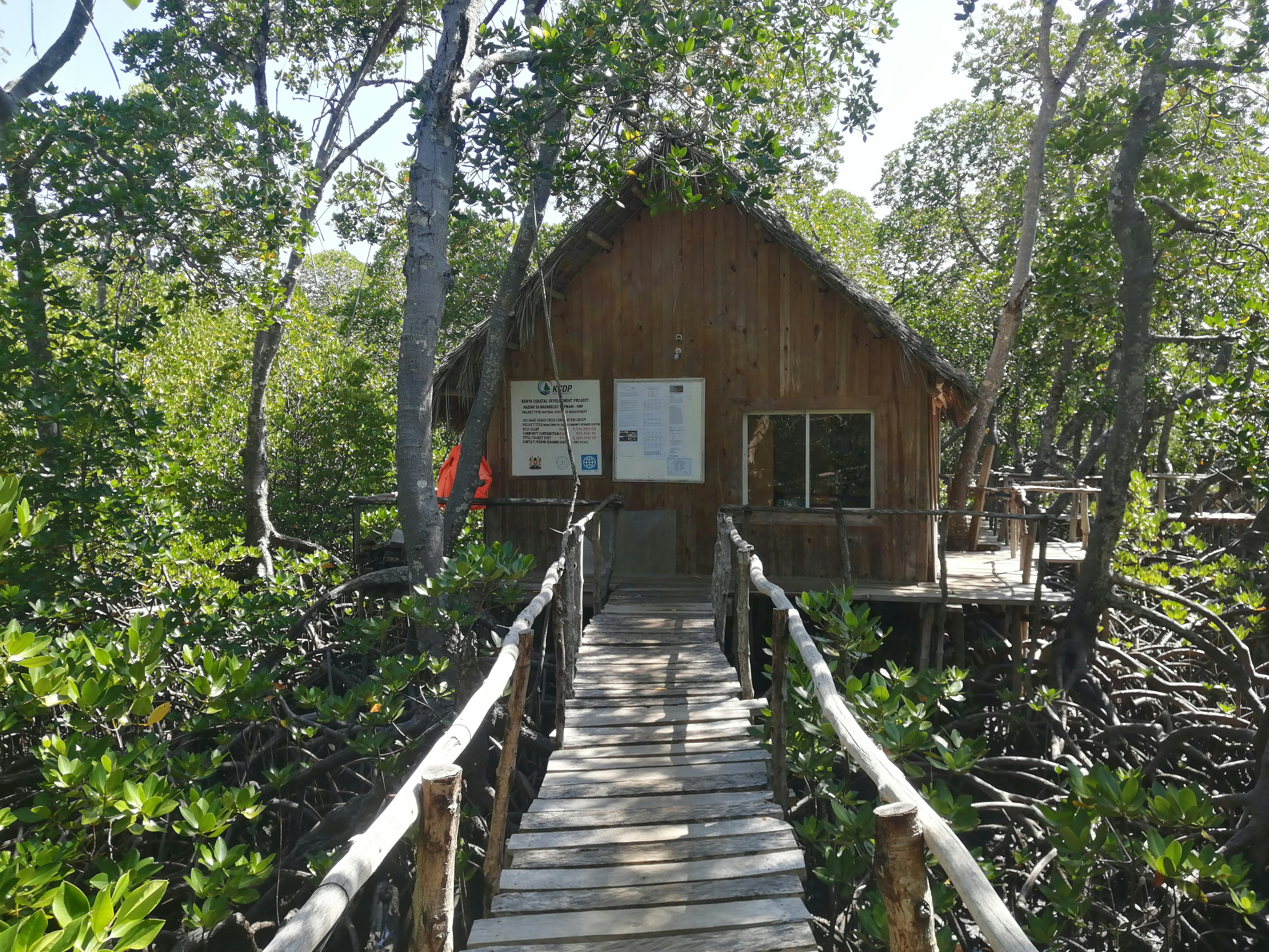 Cabaña de madera rodeada de bosque nativo patagónico