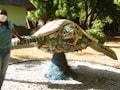 A large sculpture of a turtle made from various pieces of plastic and debris is displayed outdoors on a platform surrounded by trees. A person wearing a mask and a blue shirt stands beside it, placing a hand on the turtle's shell. The sculpture showcases intricate details of the turtle's features and highlights environmental themes.