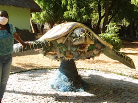 A large sculpture of a turtle made from various pieces of plastic and debris is displayed outdoors on a platform surrounded by trees. A person wearing a mask and a blue shirt stands beside it, placing a hand on the turtle's shell. The sculpture showcases intricate details of the turtle's features and highlights environmental themes.