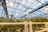 A large greenhouse filled with lush green plants, supported by an intricate structure of pipes and rails. The ceiling is made of glass or transparent material, allowing natural light to flood the space, while artificial lights provide additional illumination. The complex metal framework holds ceiling fans and lights, contributing to the controlled environment necessary for the plants' growth.