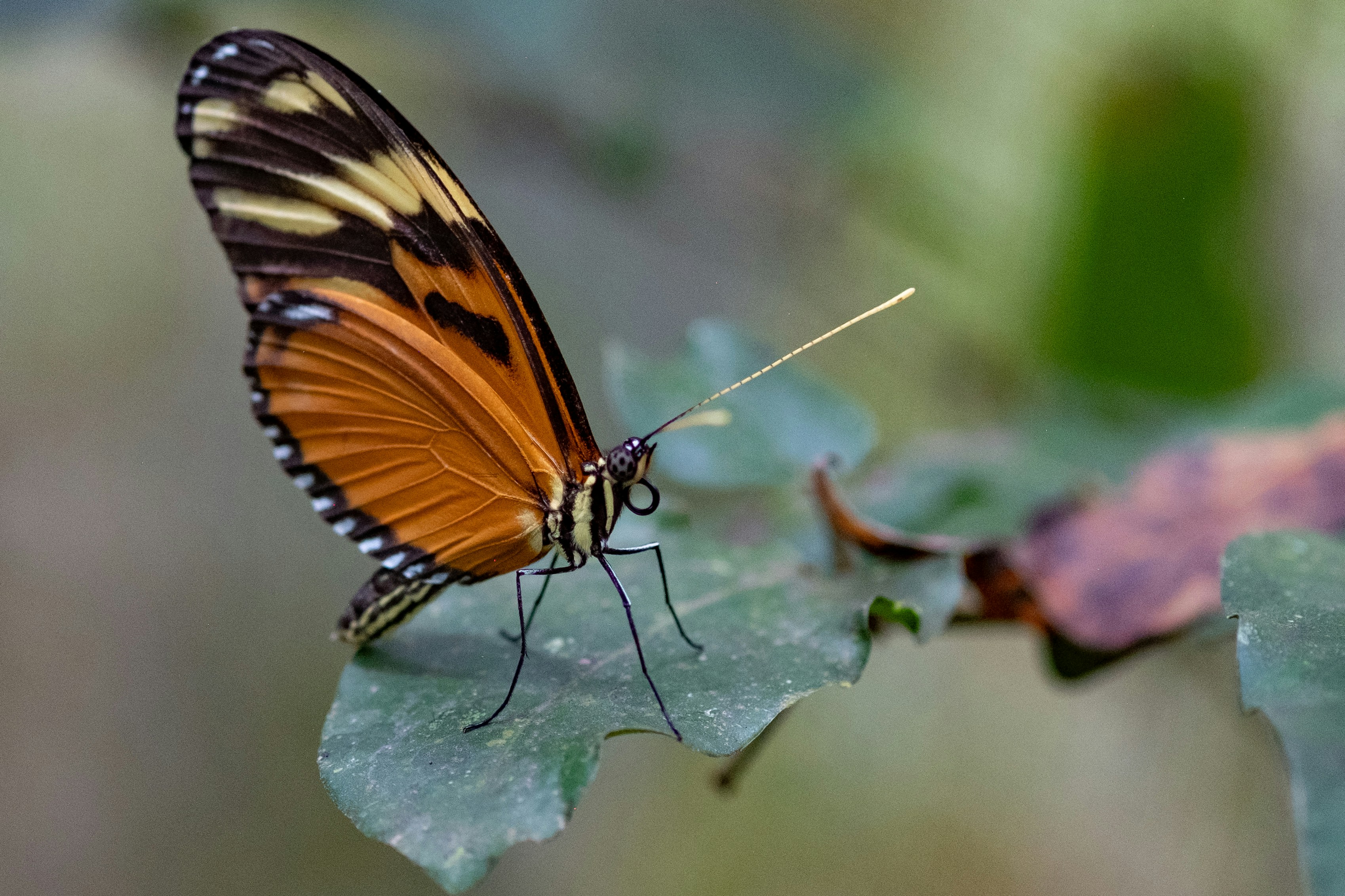 Photo by correliebre