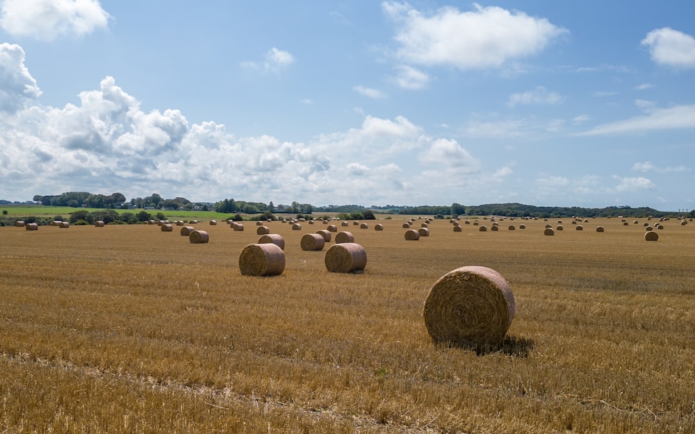 a field full of hay bales on a sunny day