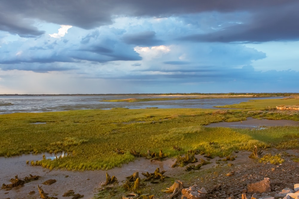 a large body of water sitting next to a lush green field