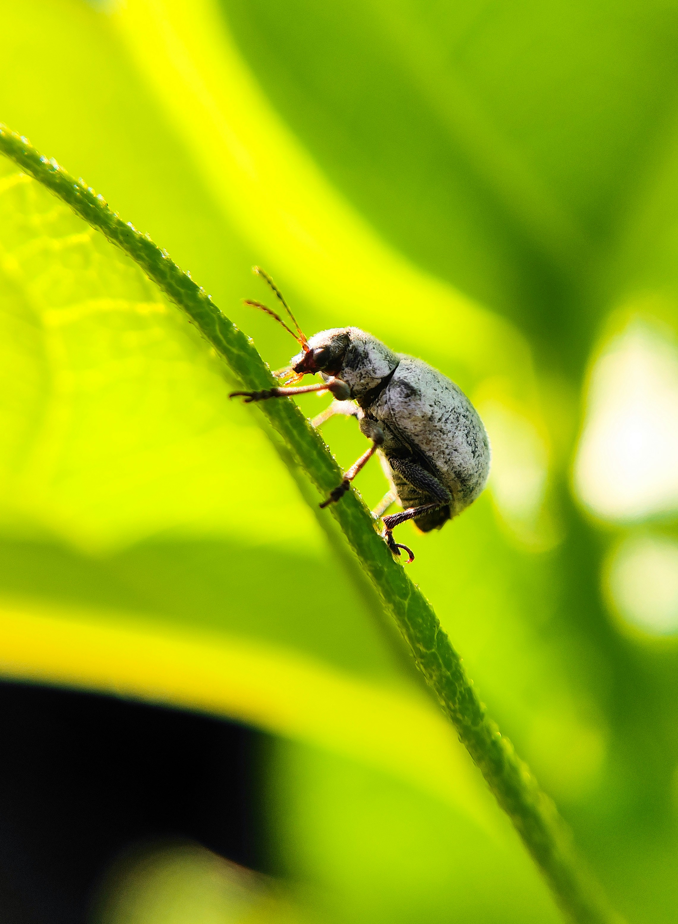 Photo by macrosam