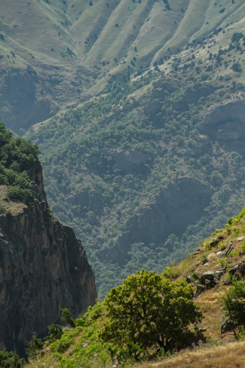 a man riding a horse on top of a lush green hillside